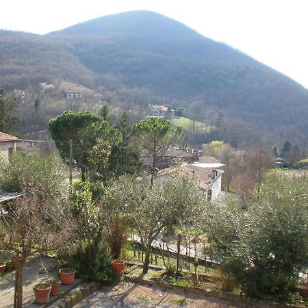 Locanda-Trattoria Al Rio チント・エウガーネオ エクステリア 写真